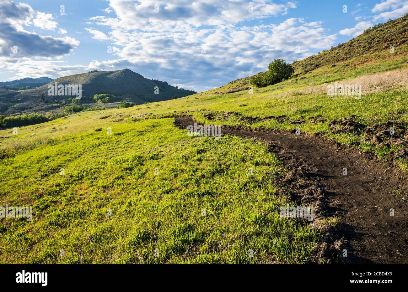 Un sentier récemment creusé sur Lewis Butte à l'extérieur de Winthrop, Washington, dans la vallée de la Methow. Banque D'Images