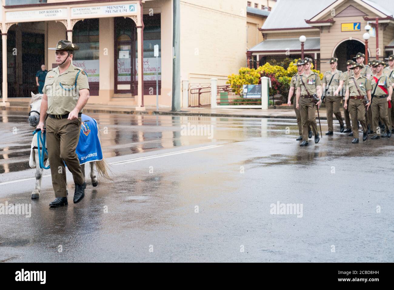 Charters Towers, Australie - 25 avril 2019 : la mascotte poney Shetland, Septimus Quintus ou Seppie, mène la marche du jour de l'Anzac sous la pluie Banque D'Images