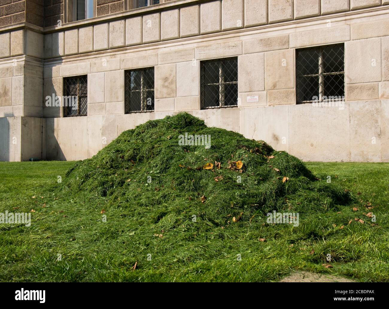 Une pile d'herbe coupée sur une pelouse pendant la lumière du soleil de l'après-midi. À Vienne, Autriche. Banque D'Images