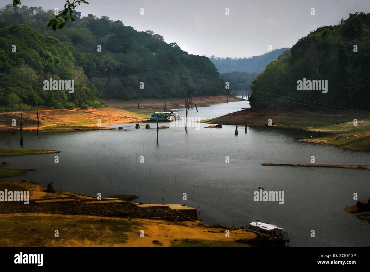 Thekkady est l'emplacement du parc national de Periyar, qui est une attraction touristique importante dans l'état de Kerala en Inde. Belle nature Banque D'Images