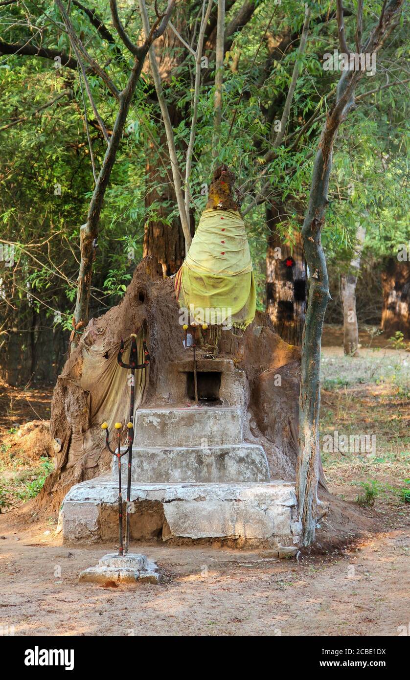 Temple for Snakes, Tamil Nadu, est célèbre pour ses temples hindous de style dravidien. Une terre de patrimoine culturel et religieux Banque D'Images