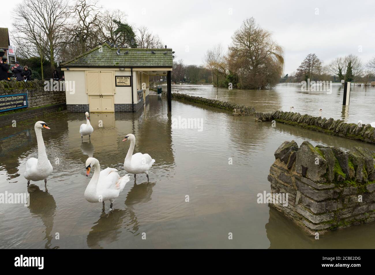 Propriétés inondées sur les rives de la Tamise à Windsor après que la Tamise ait éclaté sur ses rives. Windsor, Berkshire, Royaume-Uni. 10 févr. 2014 Banque D'Images