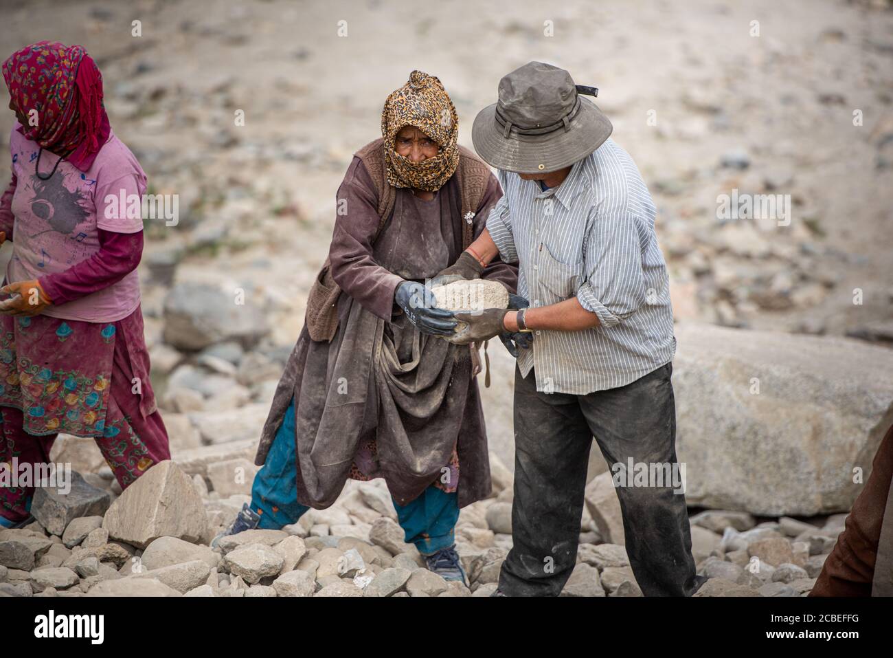 Hommes et femmes au travail, au Ladakh Banque D'Images