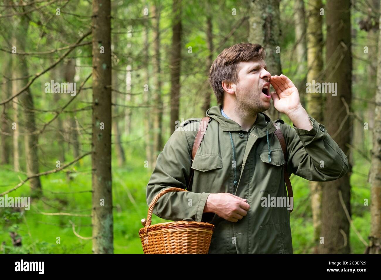 Le vieil homme rassemble des champignons montrant un cep dans le panier. Banque D'Images