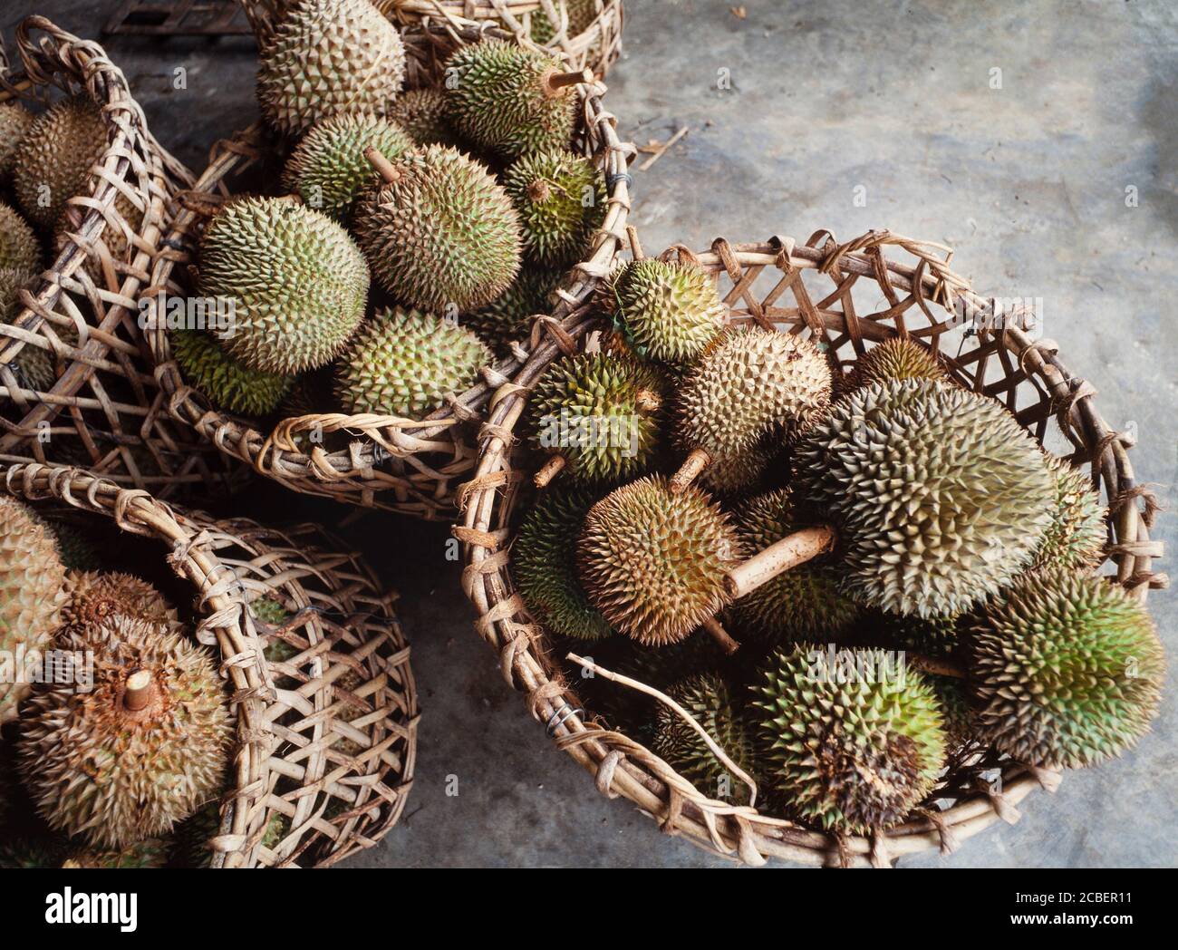 Durian Durio zibethinus, fruits en vente sur le bord de la route, la Malaisie Banque D'Images