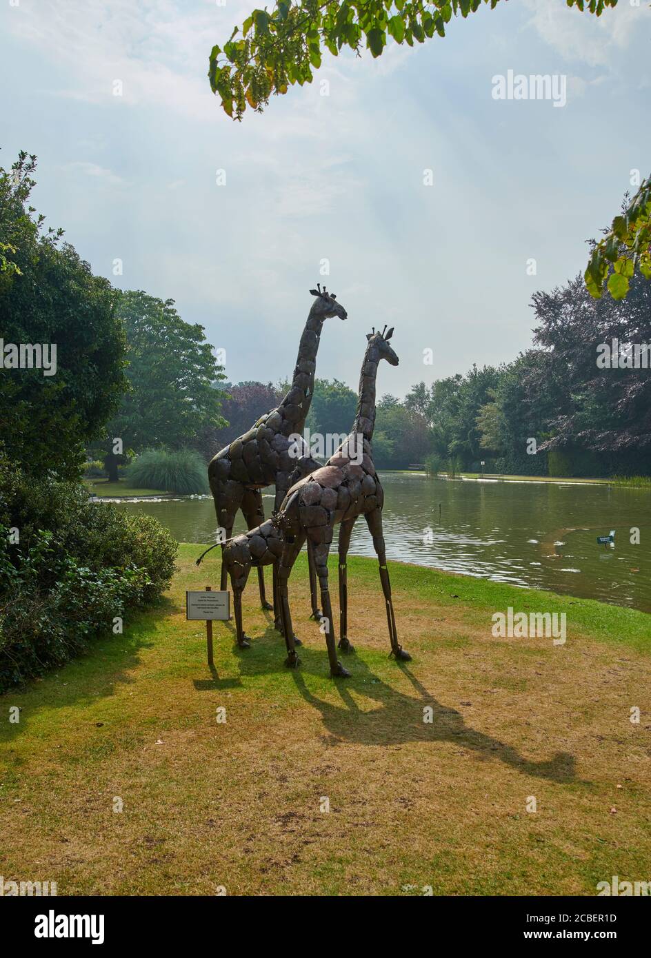 Metal Giraffe sculptureÕs vue sur un lac d'été, dans un jardin anglais, East Yorkshire, Angleterre, Royaume-Uni, GB. Banque D'Images
