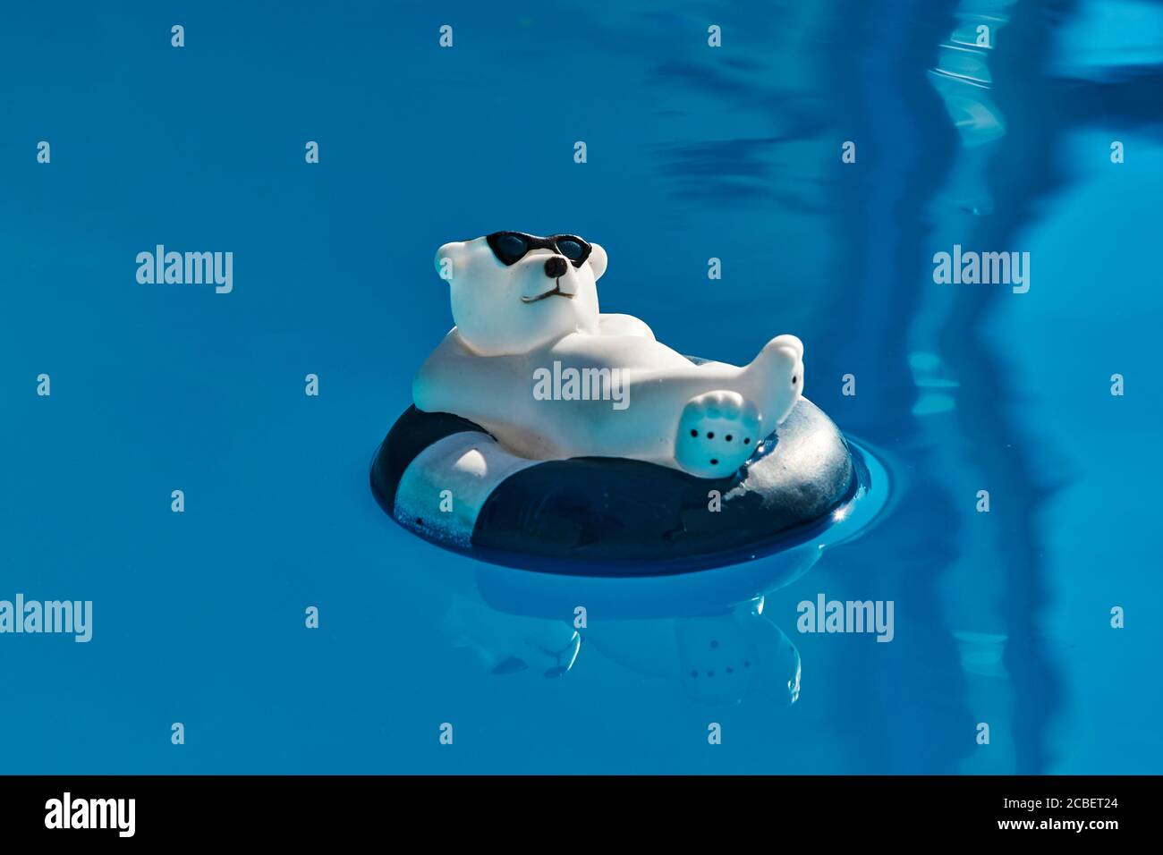 Décoration de piscine sous la forme d'un ours polaire décontracté avec des  lunettes de soleil et un anneau de natation sur l'eau bleue Photo Stock -  Alamy