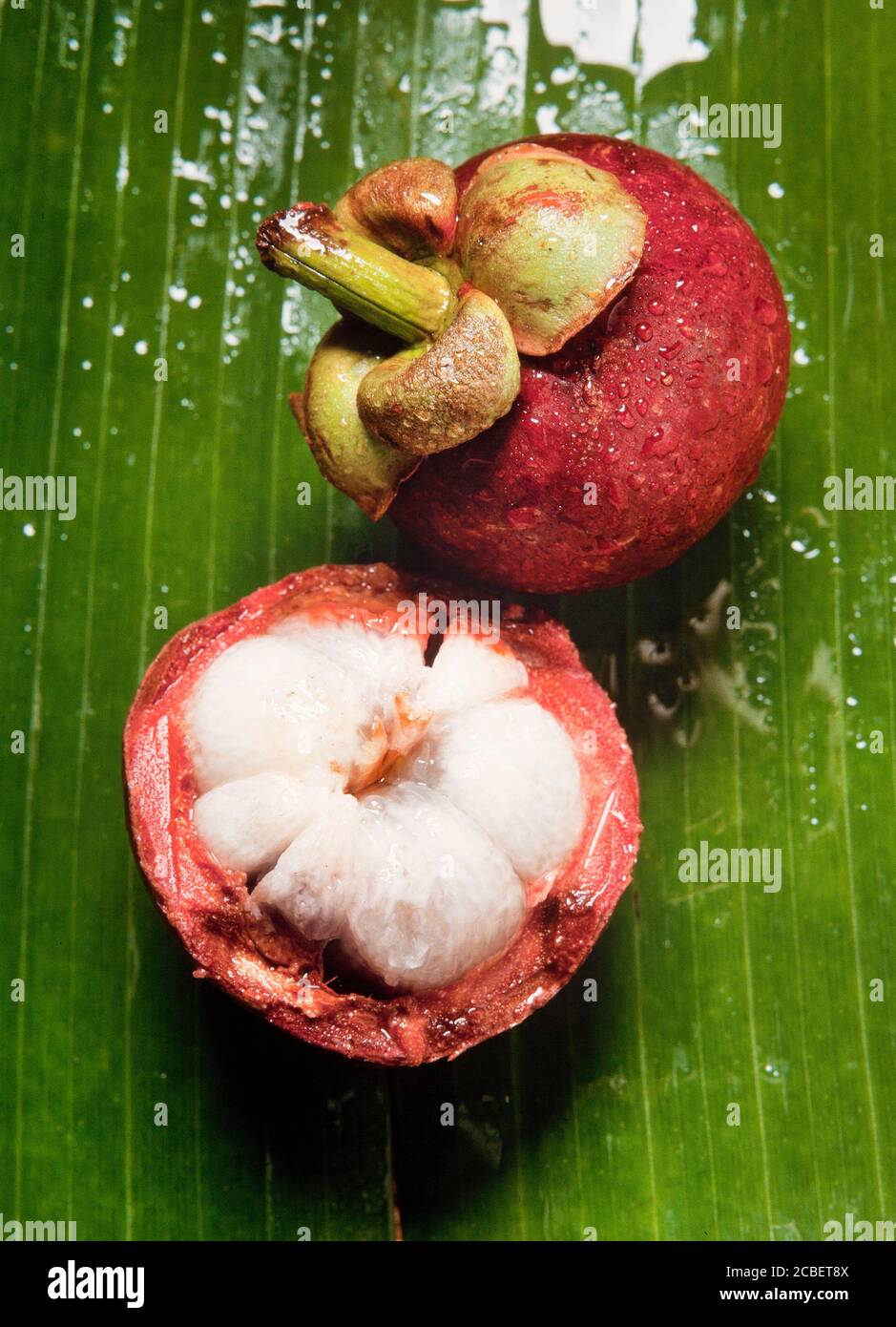 Mangoustan, Manggis (Garcinia mangostana), en Malaisie, à l'intérieur de la chair et la peau externe Banque D'Images
