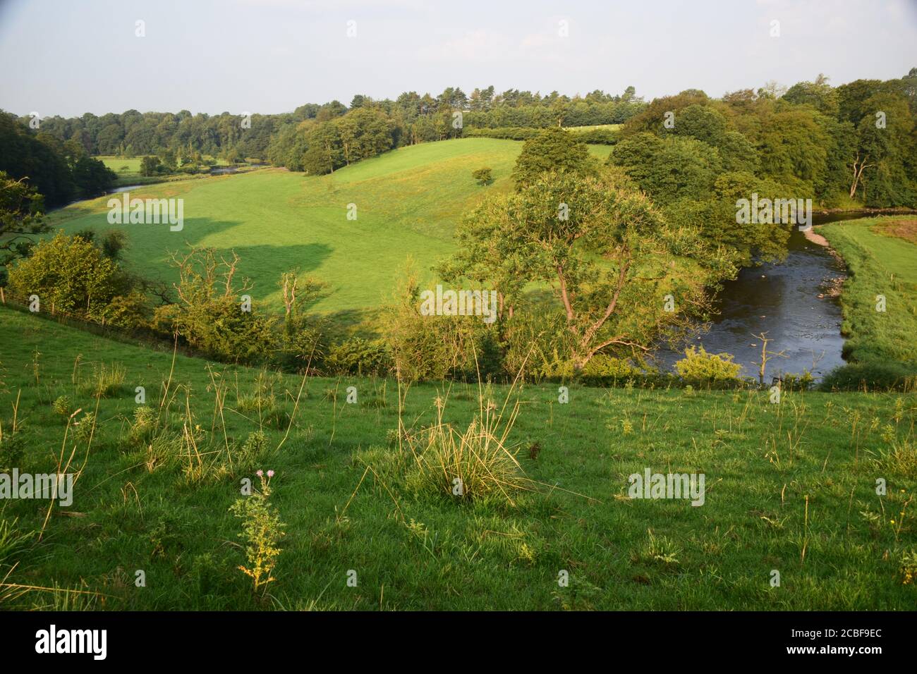 La rivière Ribble vallée en amont de Gisburn Lancashire belle campagne vallonnée Banque D'Images