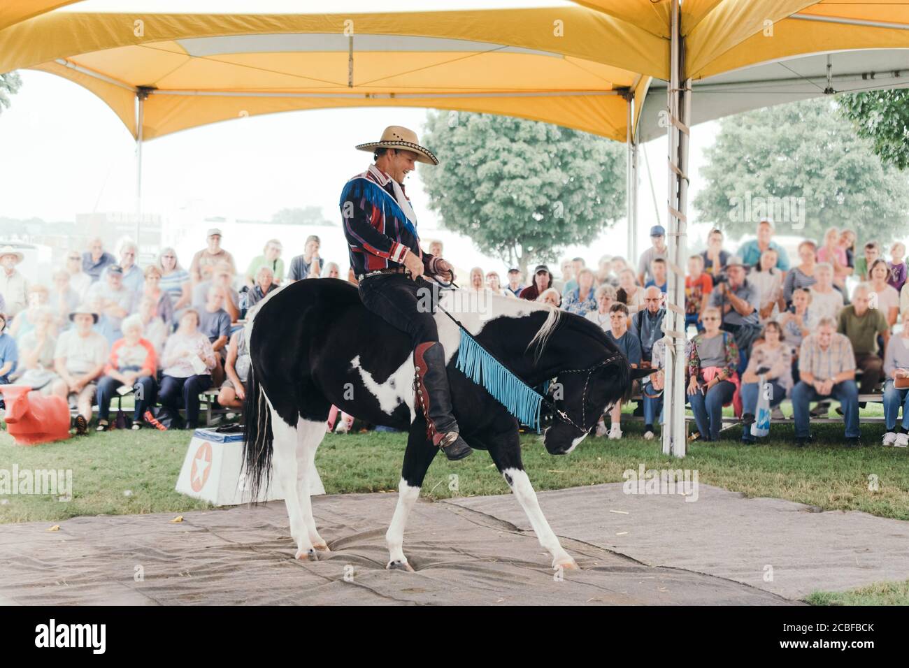 Cowboy faisant un spectacle avec son cheval Banque D'Images