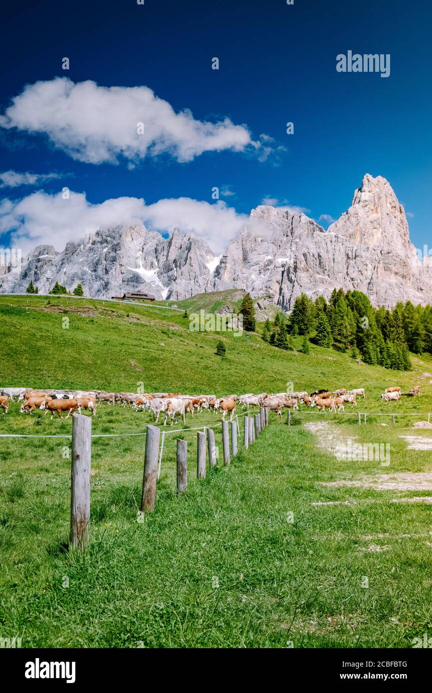 Pâle di San Martino de Baita Segantini - Passo Rolle italie, couple visite des Alpes italiennes, vue de Cimon della Pala, le plus connu pic du Pale Banque D'Images