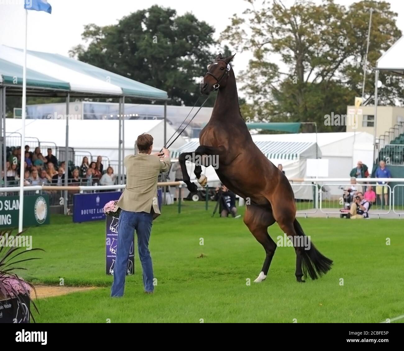 Burghley 2014 1er Trot William Fox Pitt & Bay My Héros Banque D'Images