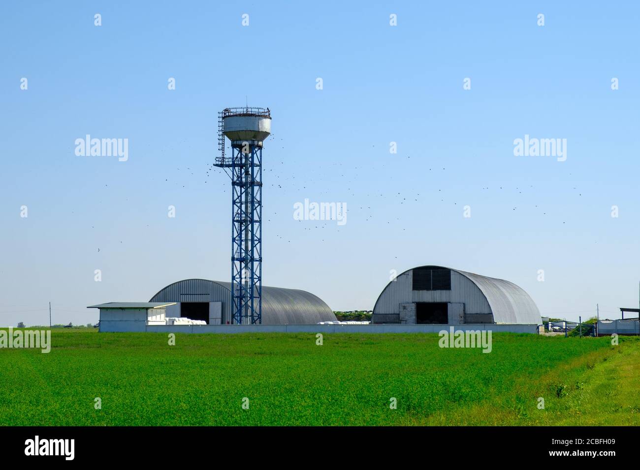 Hangars de ferme et tour. Grande capacité de stockage pour les cultures agricoles. Concept d'agro-industrie. Banque D'Images