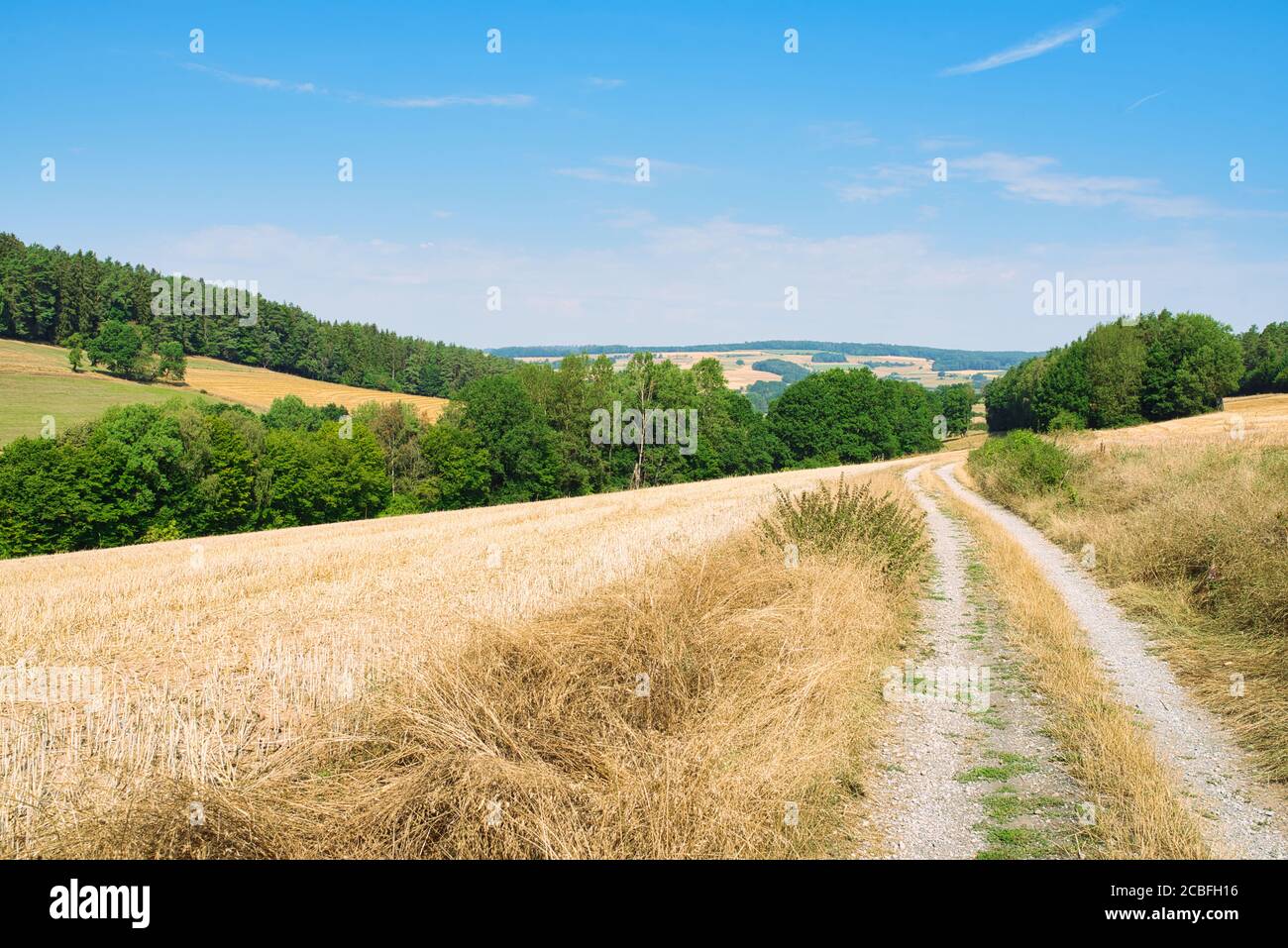 route de gravier à travers les champs dans le paysage vallonné pendant l'été ensoleillé jour Banque D'Images