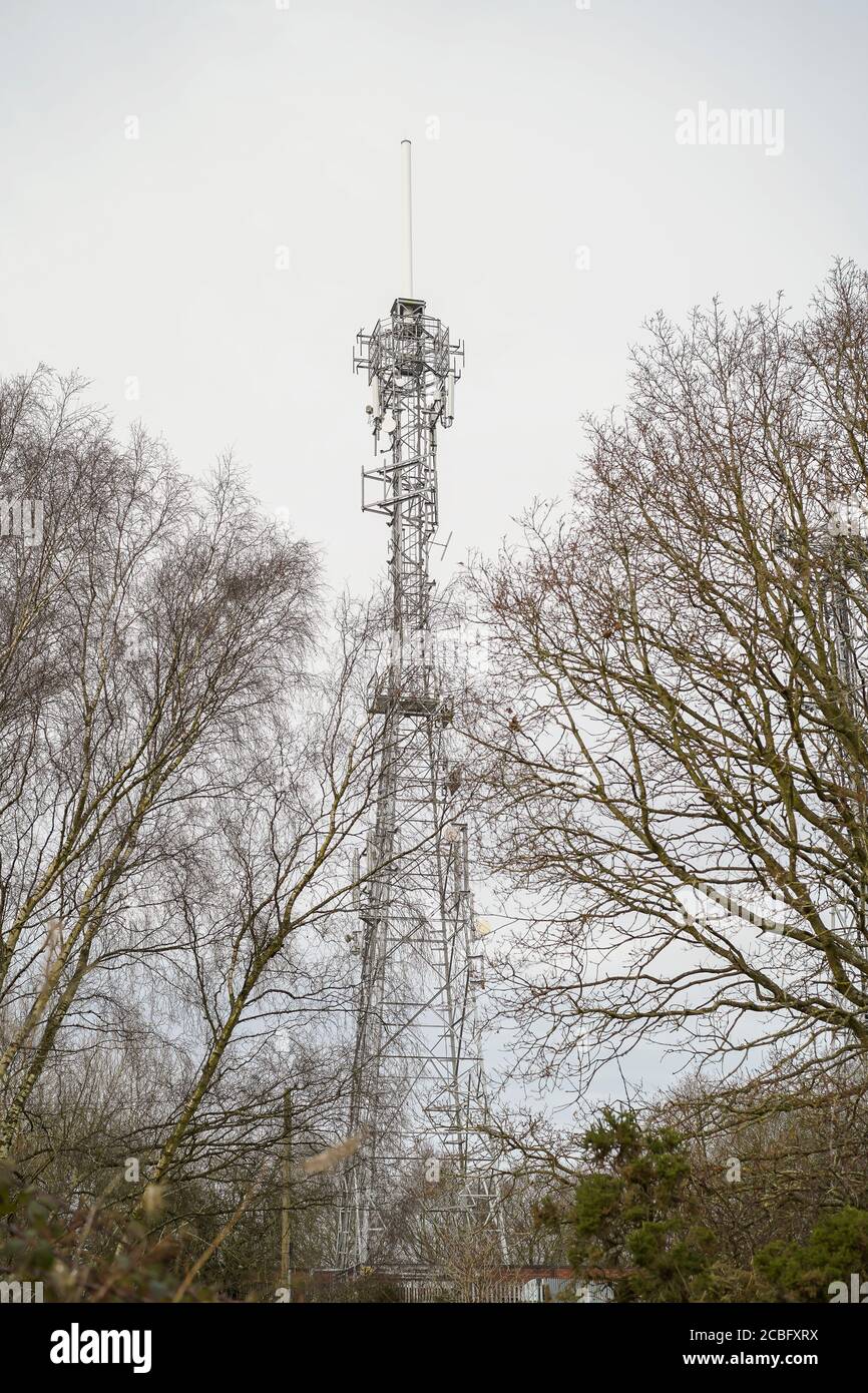 Mât de téléphone portable à l'extérieur au Royaume-Uni dans les arbres d'hiver. Banque D'Images