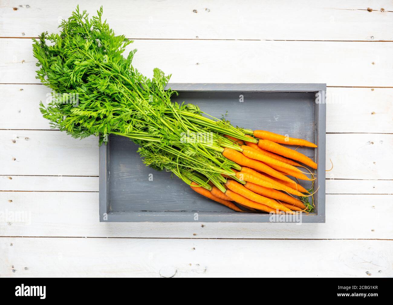 Bouquet de carottes sur plateau en bois gris reposant sur des planches en bois blanc. Banque D'Images