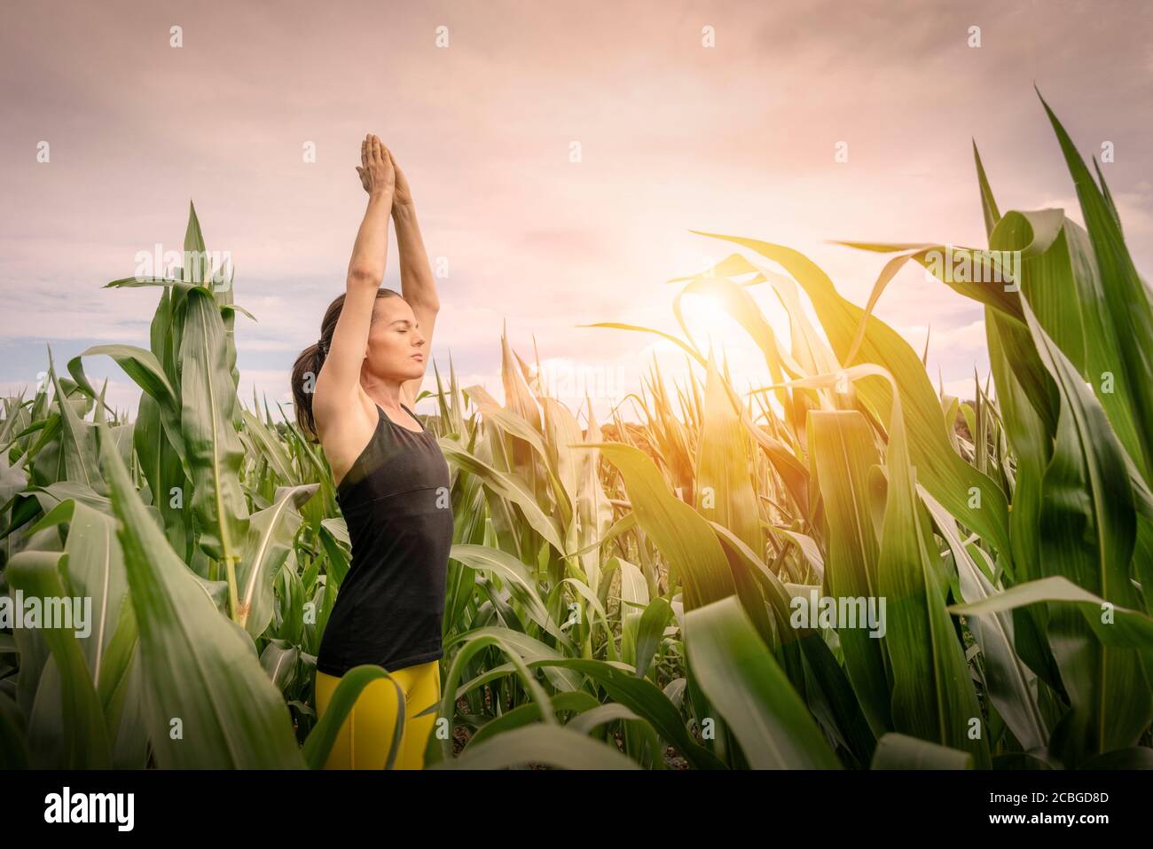 Femme sportive pratiquant le yoga et méditant au lever du soleil à l'extérieur nature Banque D'Images