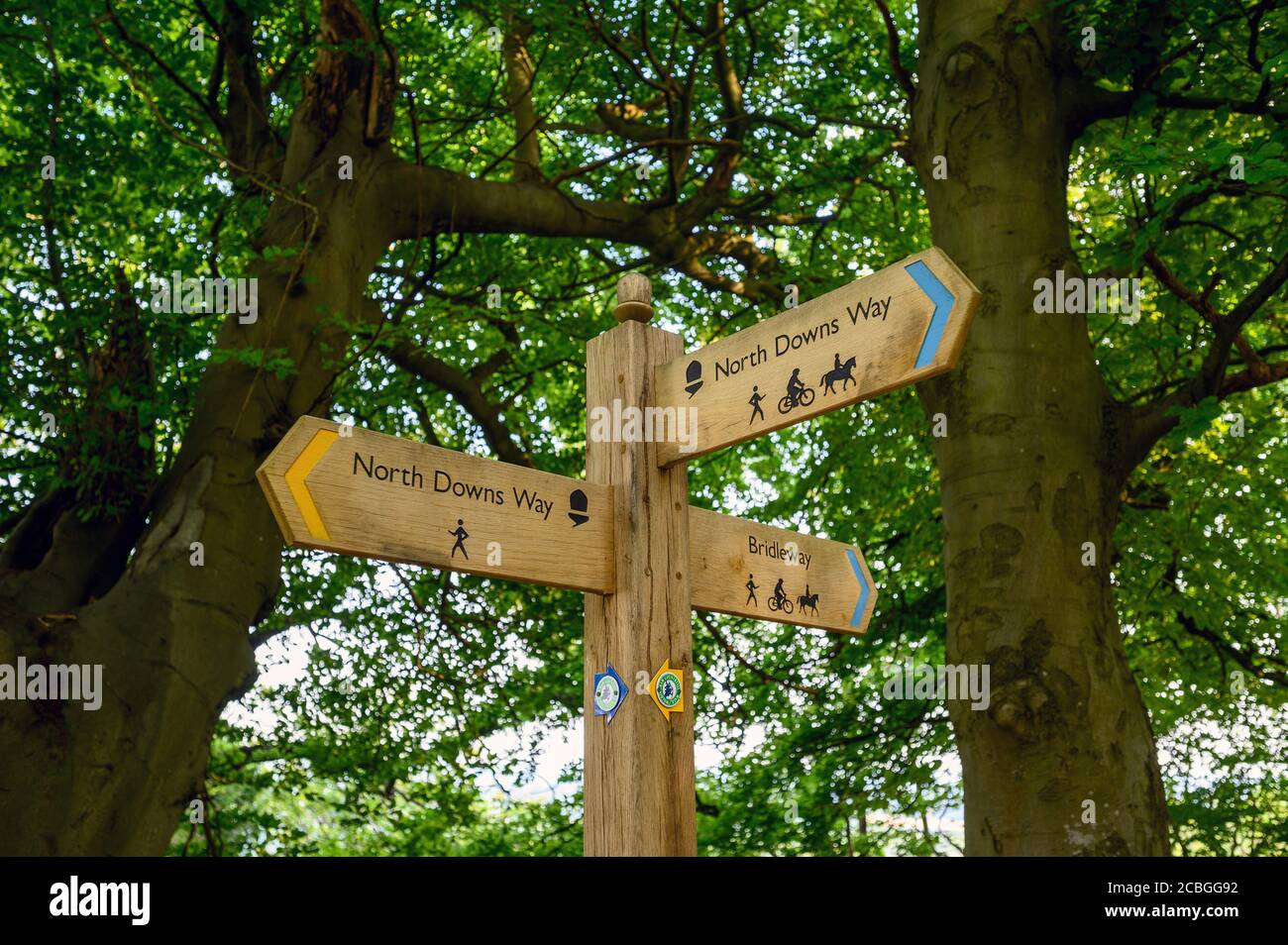 Un panneau sur la North Downs Way près de Woldingham à Surrey, Angleterre, Royaume-Uni. Le North Downs fait partie de la région de Surrey Hills d'une beauté naturelle exceptionnelle. Banque D'Images