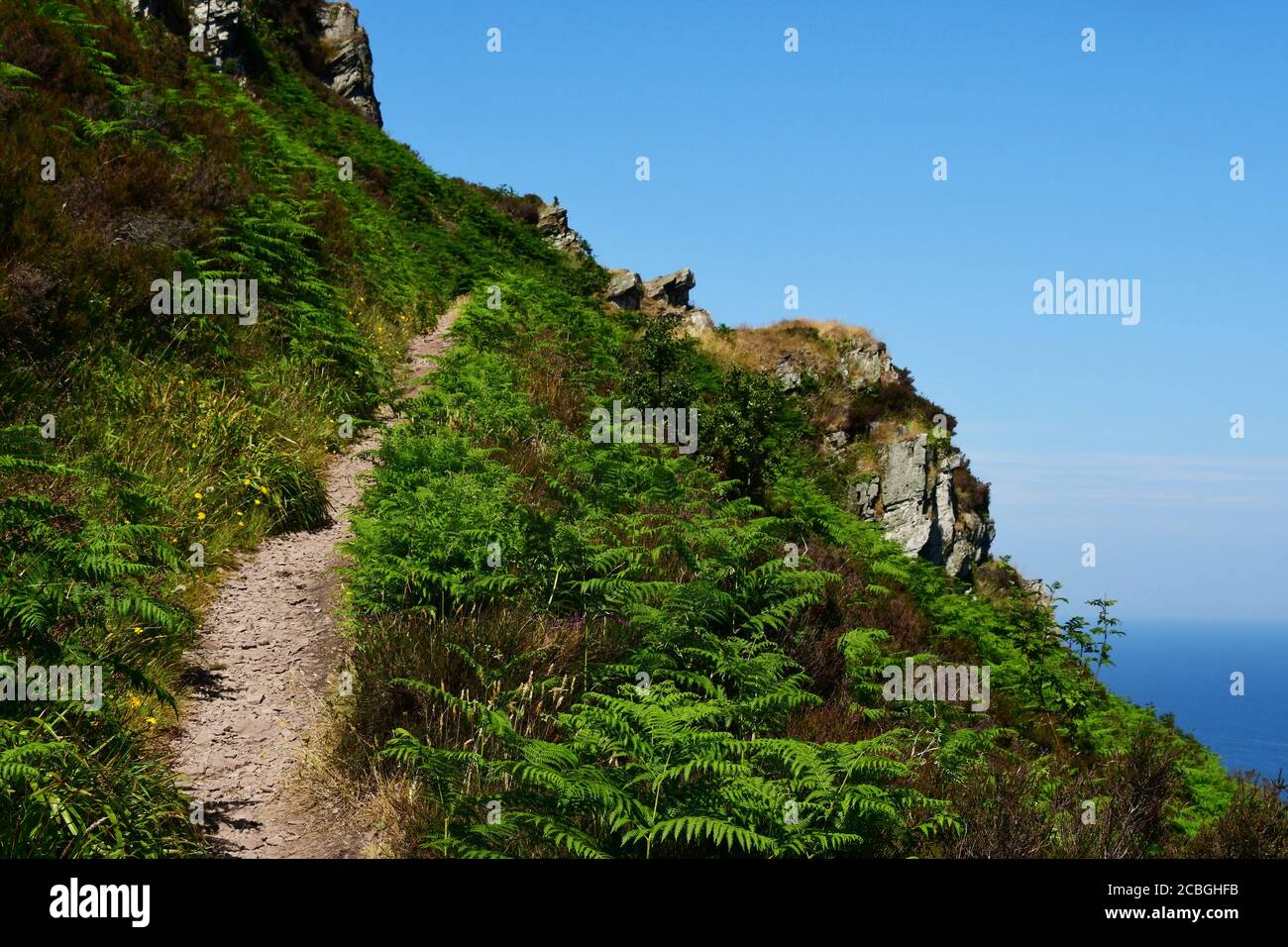 Le sentier côtier monte fortement vers un affleurement rocheux entre Woody Bay et l'embouchure d'Heddon sur la côte du Devon Nord. Banque D'Images