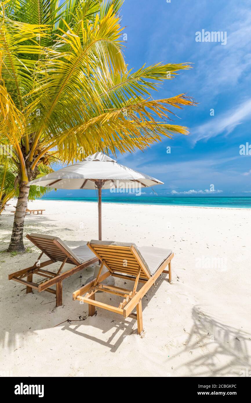 Belle plage tropicale. Sable blanc et chaises de coco Palms, tourisme de voyage parapluie, paysage de plage incroyable. Vacances ou vacances de luxe sur l'île Banque D'Images