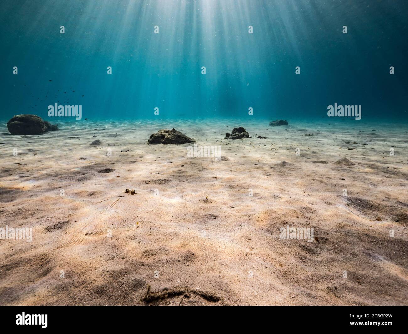 Paysage marin dans les eaux peu profondes du récif de corail dans la mer des Caraïbes / Curaçao avec vue sur la surface et les rayons du soleil Banque D'Images