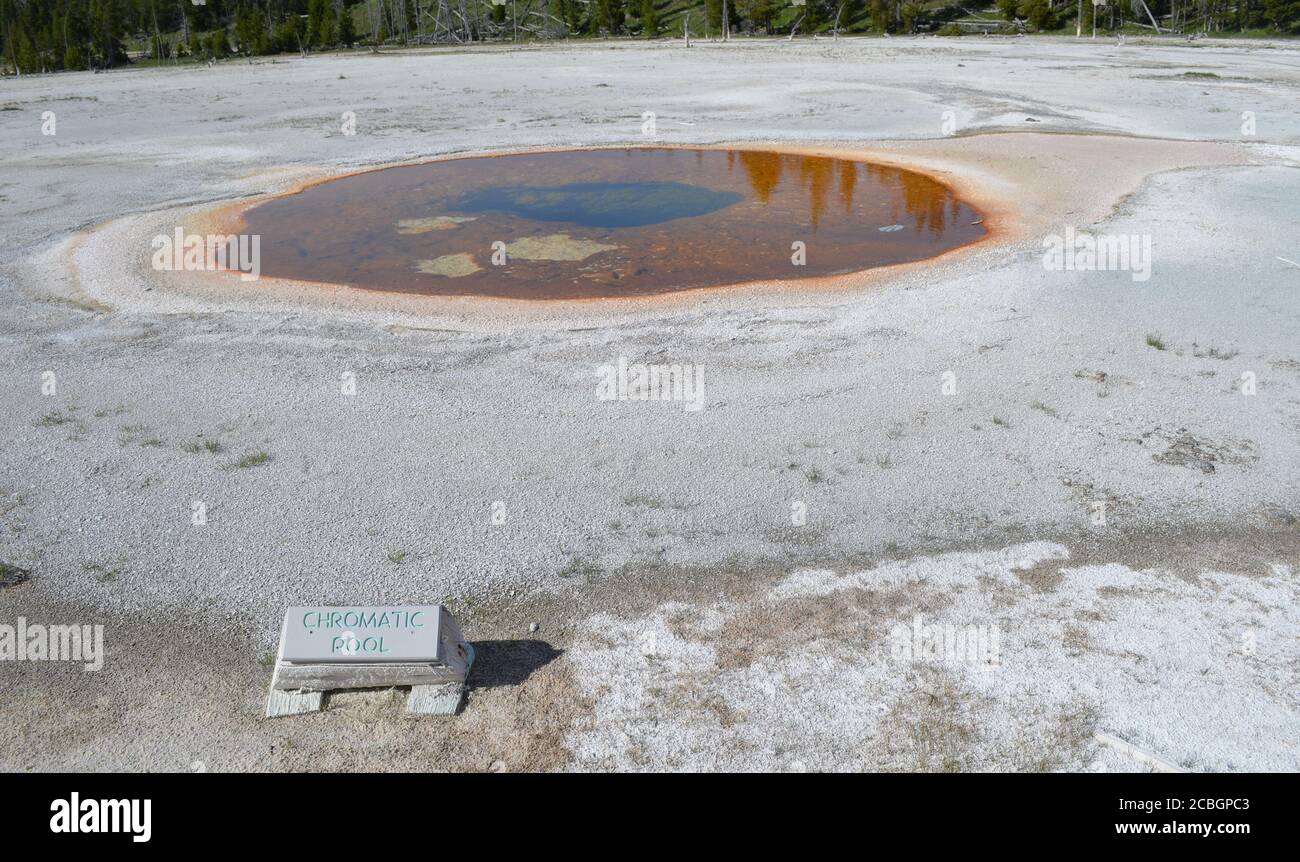 PARC NATIONAL DE YELLOWSTONE, WYOMING - 8 JUIN 2017 : piscine chromatique du groupe de beauté dans le bassin supérieur du Geyser Banque D'Images