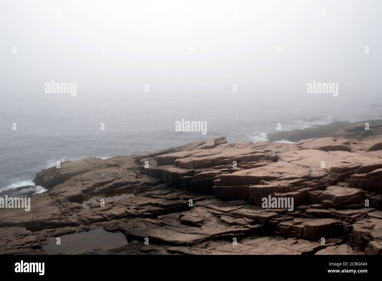 Ocean Path ranking, Maine Coast, Ocean Path est un sentier familial, Arcadia National Park Maine, USA Banque D'Images