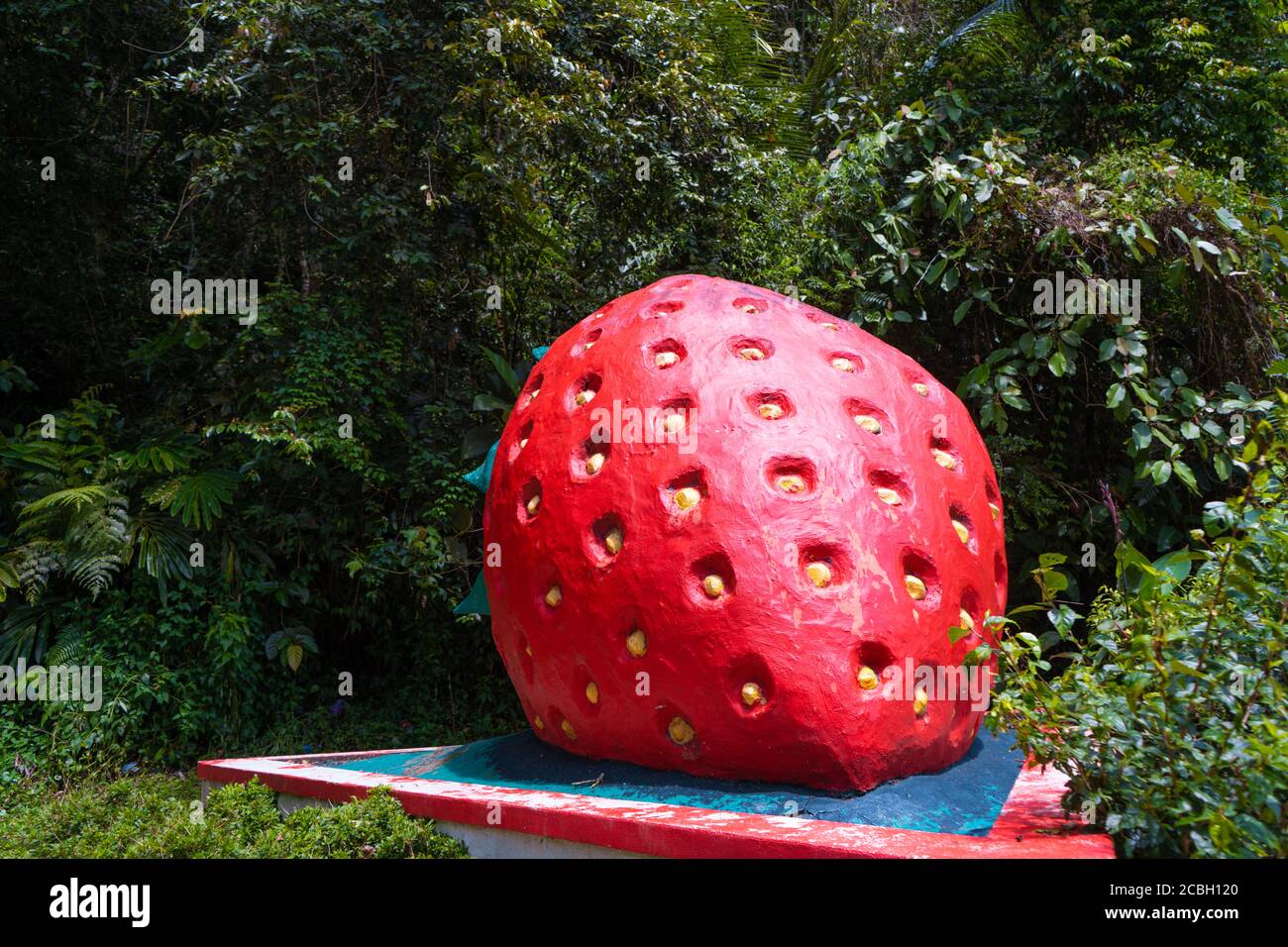 Une sculpture d'une énorme fraise rouge sur le côté de la route. Symbole du  quartier des fermes de fraises Photo Stock - Alamy