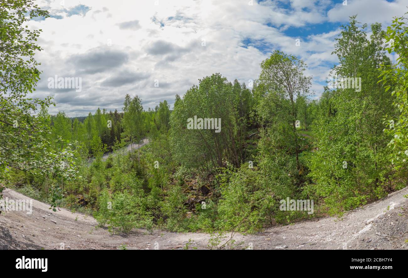 Paysage forestier dense. Vue panoramique. bois rocheux. Arbres et plantes Banque D'Images