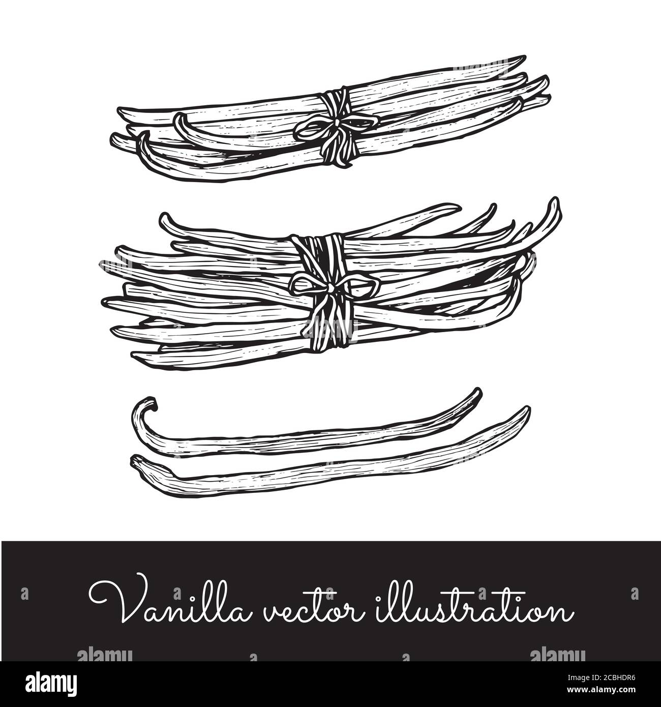 Gousse De Vanille Dessin Banque d&amp;#39;images vectorielles - Alamy
