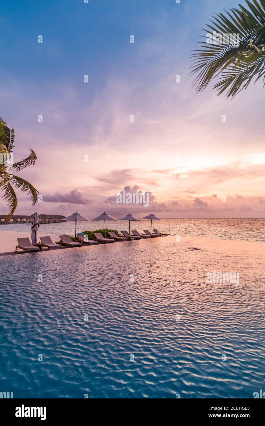 Magnifique piscine et coucher de soleil avec palmiers. Paysage tropical de plage de luxe, piscine à débordement, chaises longues et chaises longues sous parasol Banque D'Images