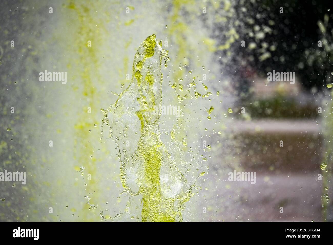 Berlin, Allemagne. 13 août 2020. L'eau jaillit de vert de la fontaine dans le jardin de roses dans le parc de Treptower. Les algues, les dépôts, le pollen et les bactéries ont coloré l'eau. Quoi qu'il en soit, il est interdit en principe de se baigner dans la plupart des fontaines de Berlin, malgré la chaleur. Les éclaboussures ou le maintien de vos pieds propres n'est pas permis non plus, car les fontaines sont destinées à être une vue et pour embellir un endroit. Credit: Jens Kalaene/dpa-Zentralbild/dpa/Alay Live News Banque D'Images