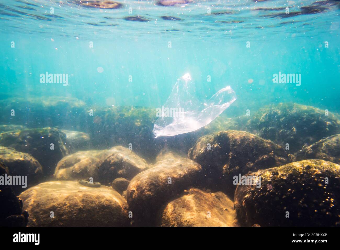Pollution des sacs en plastique sous-marins dans l'océan. Mauvaise écologie de l'eau de mer. Pollution de l'environnement. Déchets sous l'eau. Banque D'Images