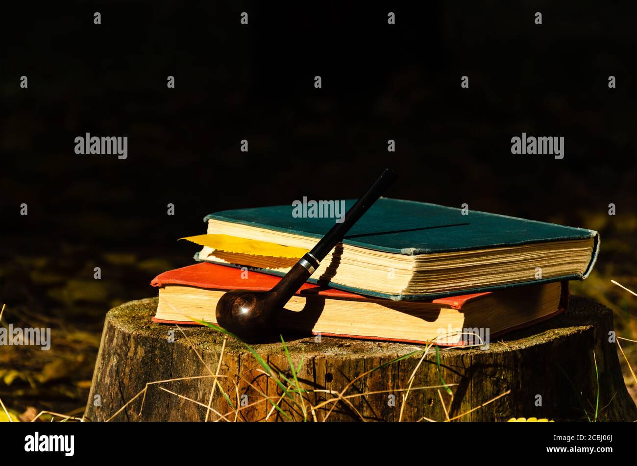 Livres, pipe de fumée et feuille jaune tombée sur une souche dans la forêt ou le parc d'automne. Week-end dans le parc dans une journée ensoleillée d'octobre. Mode de vie lent Banque D'Images