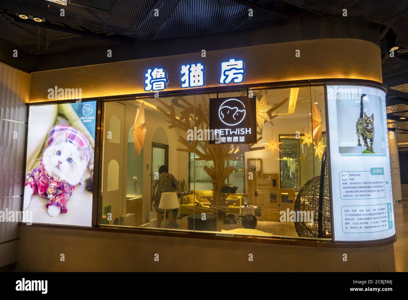 Shanghai Shanghai Chine 14 Aout Shanghaia Ama China Le 7 Aout Un Magasin D Animaux De Compagnie Dans Un Centre Commercial Sur Le Bund A Ouvert Une Salle De Verre Appelee Cat Grooming Room