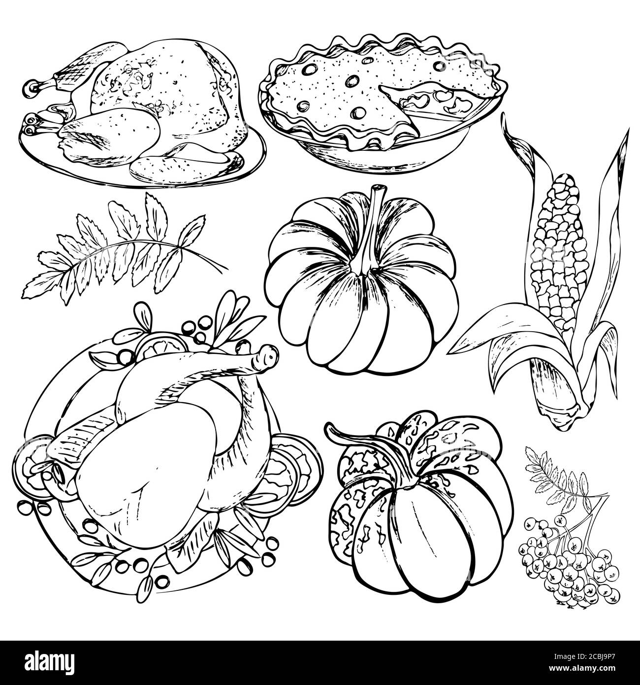 Mise en place de Thanksgiv Dinde, citrouille, tarte, maïs, feuille d'automne, framboise, dinde rôtie. Merci de donner jour le dessin de main de vecteur isolé sur Illustration de Vecteur