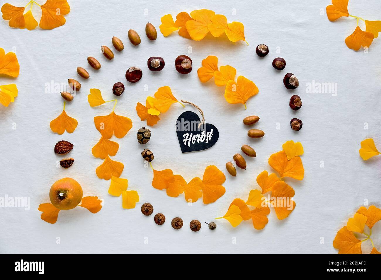 Spirale abstraite de feuilles de ginkgo, châtaignes, glands et citrouille. Mot Herbst signifie automne en langue allemande. Arrière-plan tendance de l'automne. Banque D'Images
