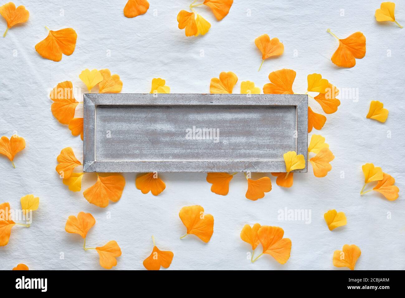 Fond plat d'automne en orange et marron. Planche en bois vierge avec espace de copie sur fond textile blanc avec feuilles de ginkgo orange éparpillées. Si Banque D'Images