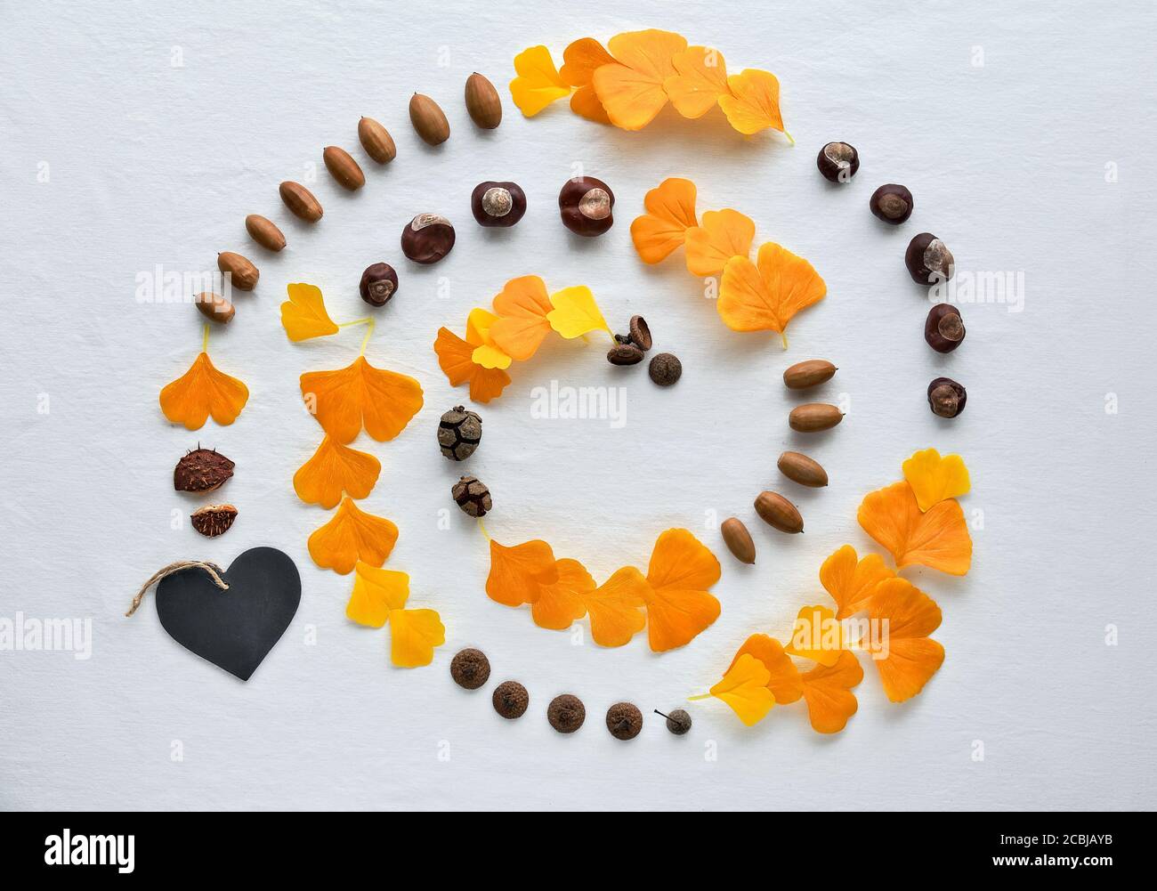 Spirale abstraite de feuilles de ginkgo, châtaignes, glands et citrouille. Mot Herbst signifie automne en langue allemande. Banque D'Images