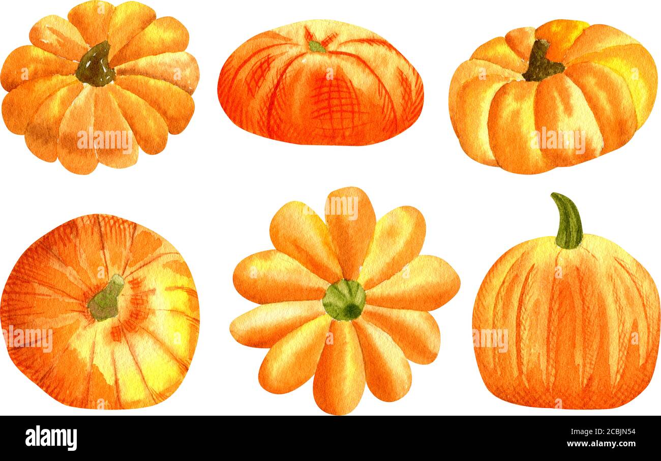 Ensemble de citrouilles et de courges à l'orange aquarelle. Illustration des légumes d'automne. Banque D'Images