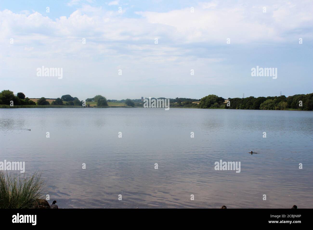 Magnifique paysage du lac Pickmere par une journée ensoleillée à Cheshire, Angleterre Banque D'Images