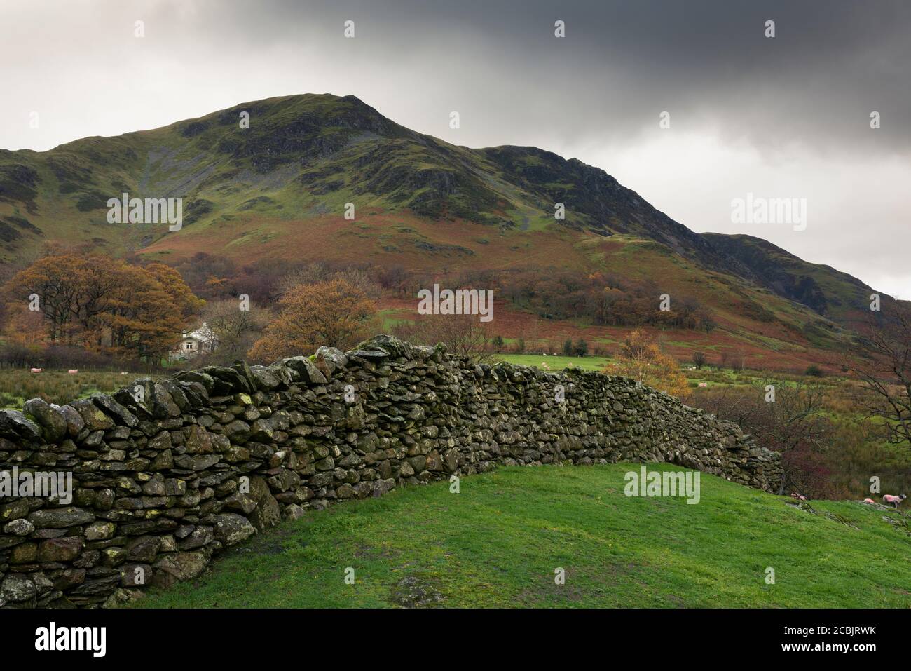 Vue automnale de High Snockrigg dans le parc national de Lake District, Cumbria, Angleterre. Banque D'Images