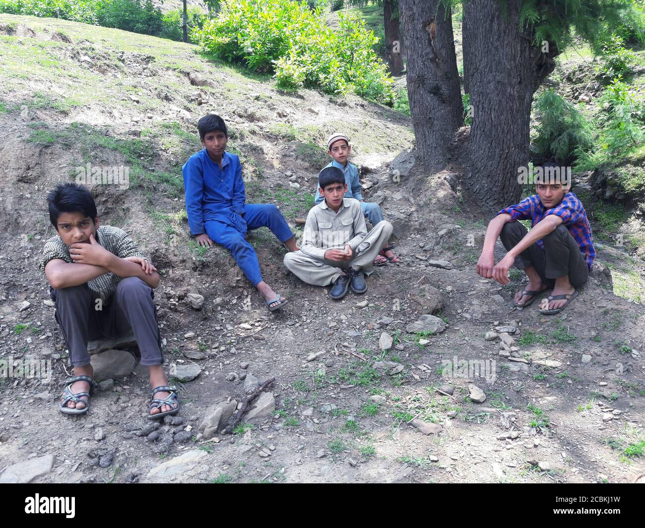 Paysage vert beauté rizières champs, aménagement de la nature. Plantes vertes terres et champs de culture semblent beaux été et printemps temps . Verdure, eau, Banque D'Images