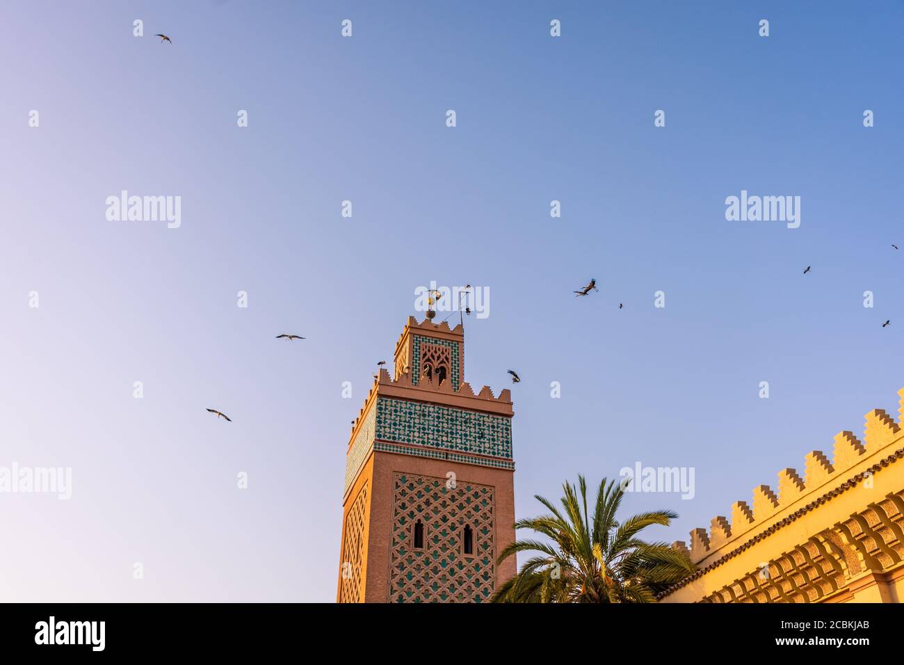 Immense troupeau de cigognes voler autour du minaret de la mosquée de la Kasbah de Marrakech, Maroc Banque D'Images