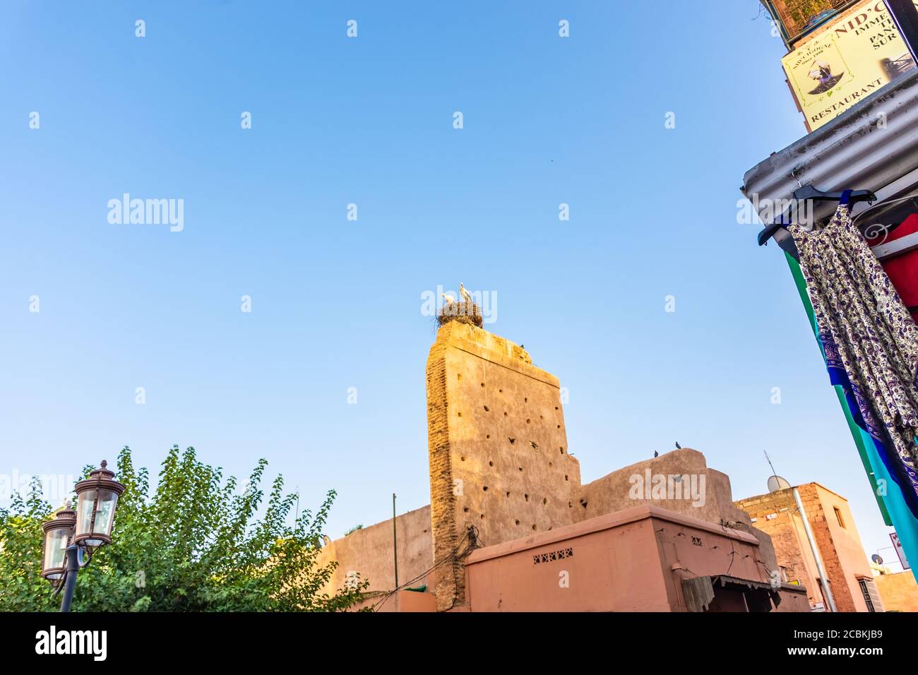 Couple de cigognes dans leur nid, plus de la Kasbah de Marrakech, Maroc Banque D'Images