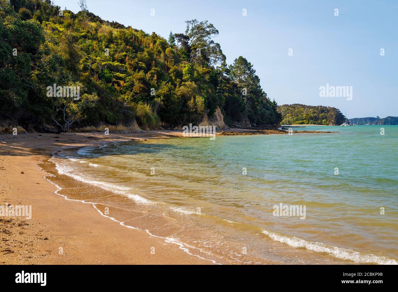 La plage de Paihia, Île du Nord, Nouvelle-Zélande. Une zone proche du site du Traité de Waitangi et du point d'accès à la baie des îles. Banque D'Images