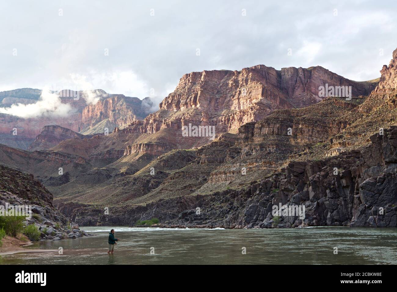 Personne à barboter dans le fleuve Colorado, Grand Canyon, Arizona, États-Unis Banque D'Images