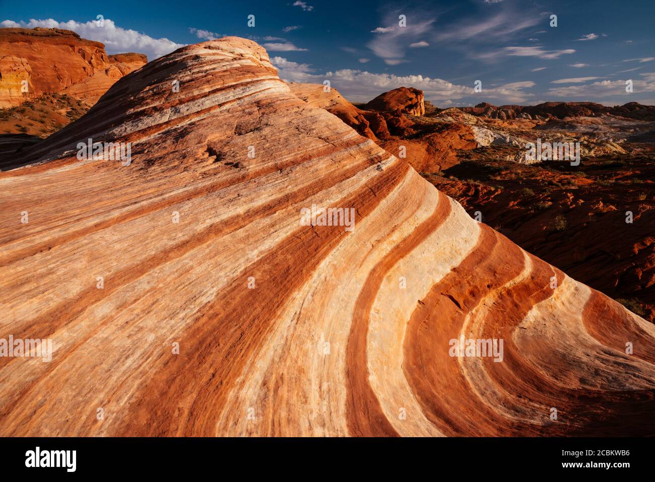 La vague de feu, Parc d'état de la Vallée de feu, Nevada, États-Unis Banque D'Images