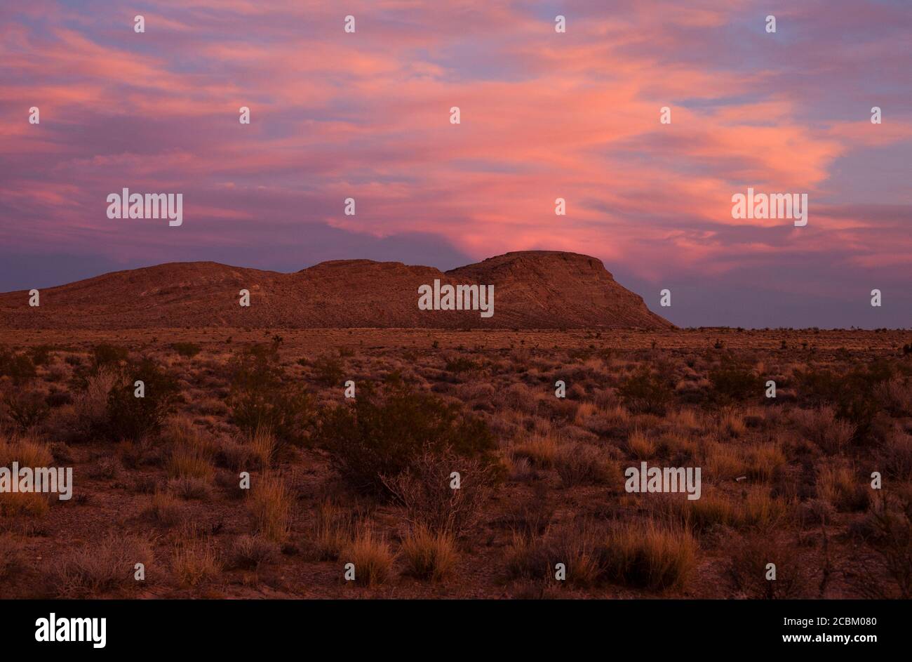 Coucher de soleil dans la zone naturelle nationale de Red Rock Canyon, Nevada, États-Unis Banque D'Images