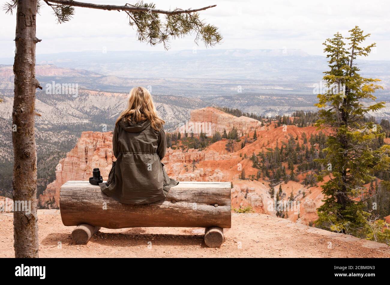 Vue arrière d'une randonneur qui regarde depuis le banc de bois au parc national de Bryce Canyon, Utah, États-Unis Banque D'Images